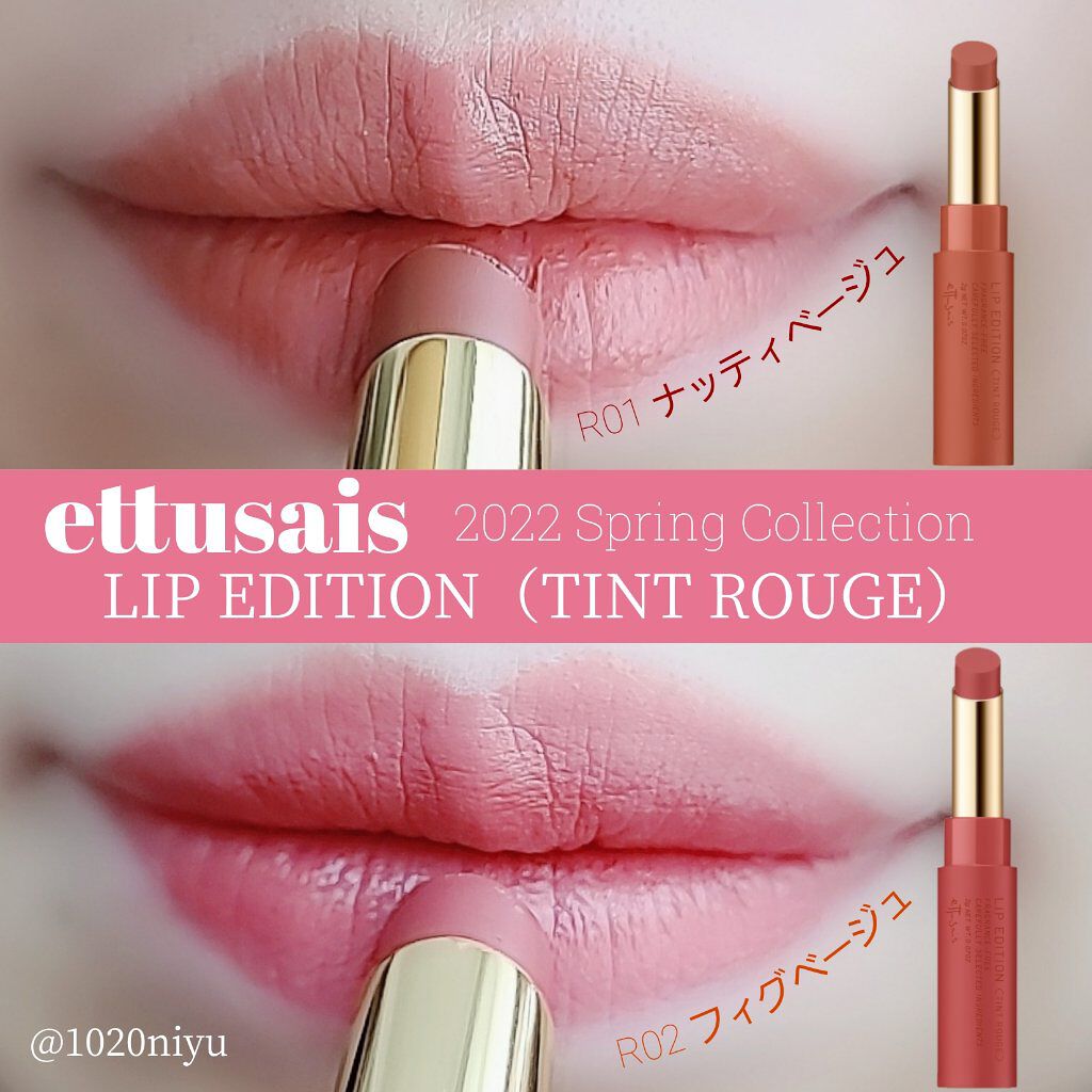 エテュセ リップエディション(ティントルージュ) R レアマットタイプ/ettusais/リップティントを使ったクチコミ（1枚目）
