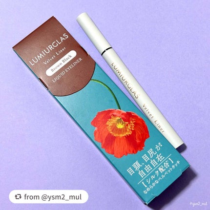 ベルベットライナー/LUMIURGLAS/リキッドアイライナーを使ったクチコミ(5枚目)