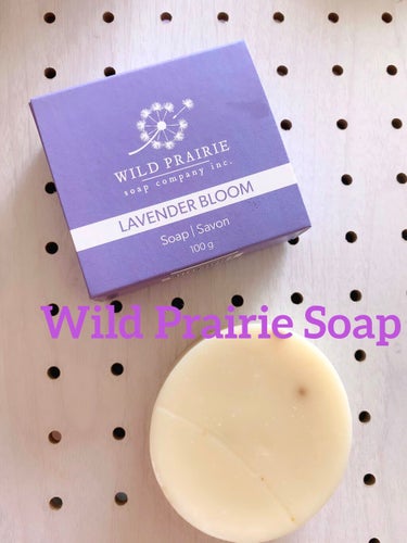 Wild Prairie Soap 石けんラベンダーブルームのクチコミ「⭐️Wild Prairie Soap⭐️

ワイルドプレイリーソープ


石けんラベンダーブ.....」（1枚目）