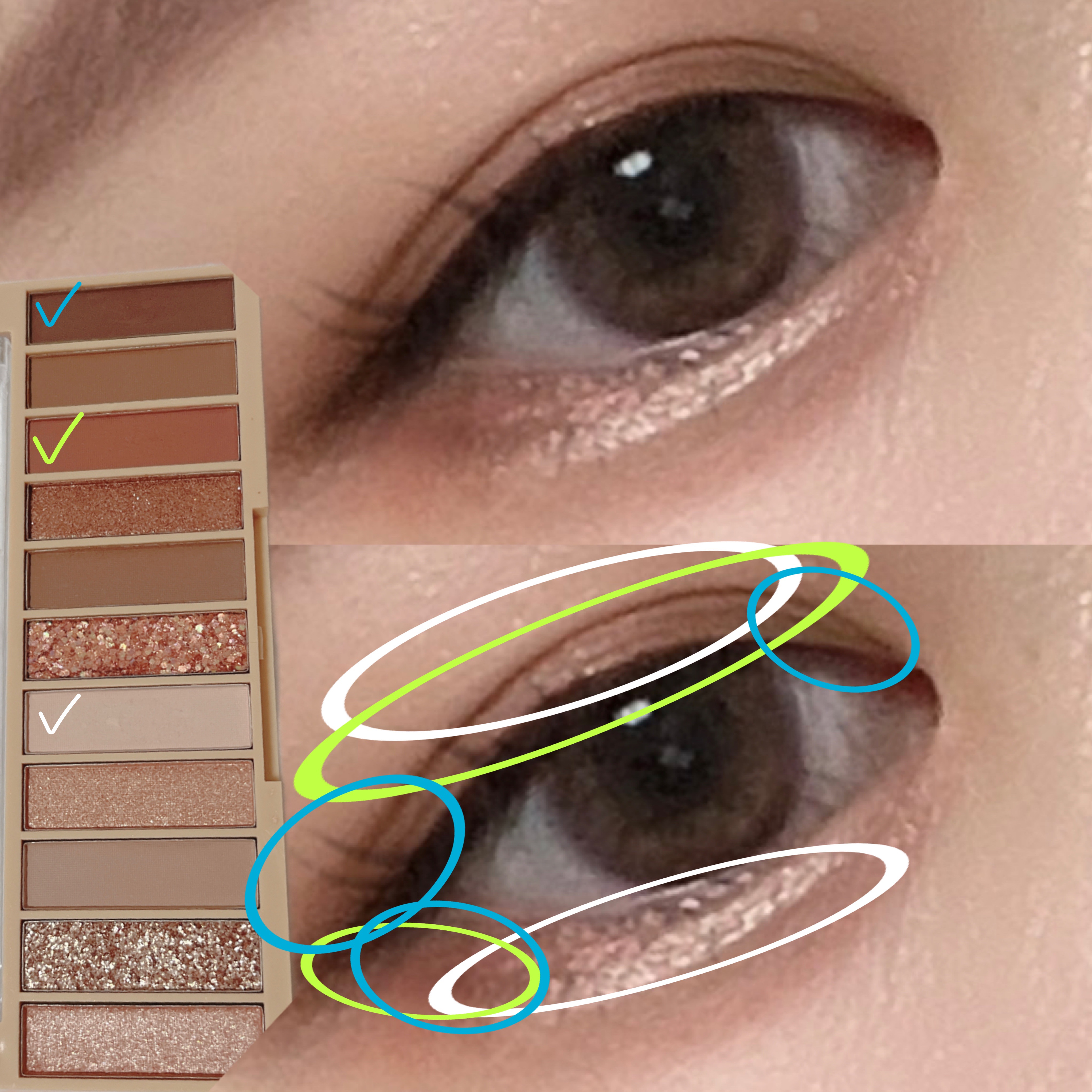 アイシャドウパレット/coou/アイシャドウパレットを使ったクチコミ（2枚目）