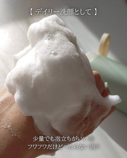 ヴィーガンパッククレンザーチューブ/WHIPPED/洗顔フォームを使ったクチコミ(4枚目)