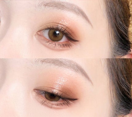 エクスプローラ12色 動物アイシャドウパレット 猫/PERFECT DIARY/アイシャドウパレットを使ったクチコミ(1枚目)