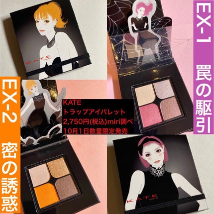 トラップアイパレット/KATE/アイシャドウパレットを使ったクチコミ(10枚目)