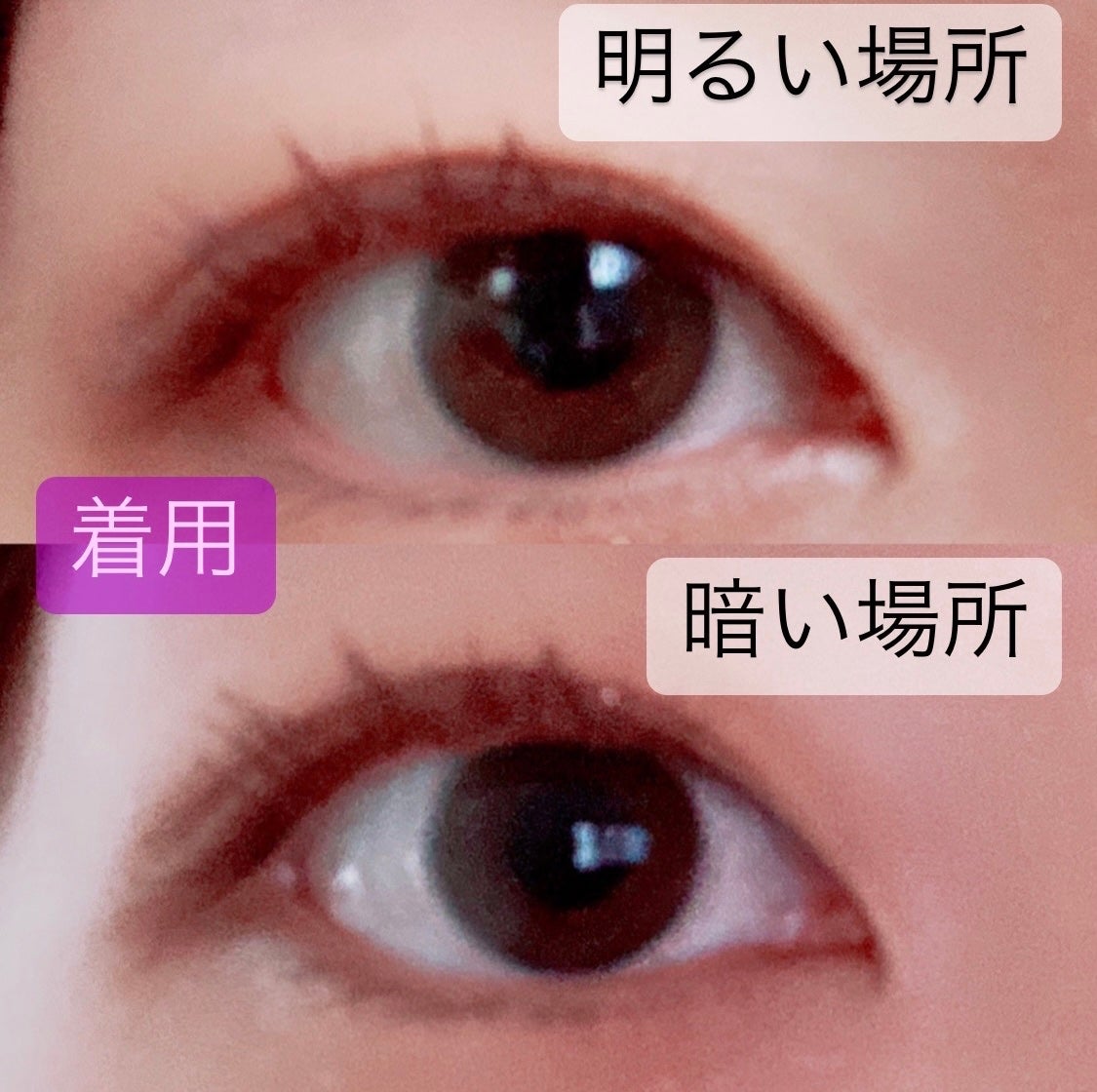 ReVIA 1day/ReVIA/ワンデー(1DAY)カラコンを使ったクチコミ(4枚目)