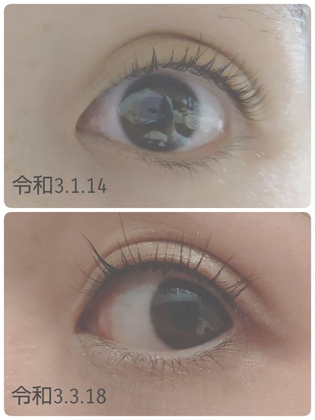 エグータム/アルマダスタイル/まつげ美容液を使ったクチコミ(3枚目)