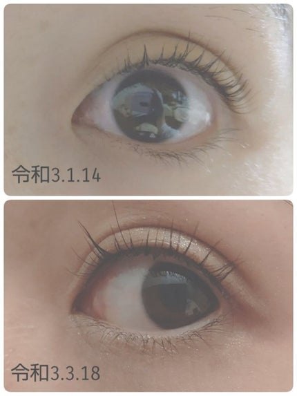 エグータム/アルマダスタイル/まつげ美容液を使ったクチコミ(3枚目)