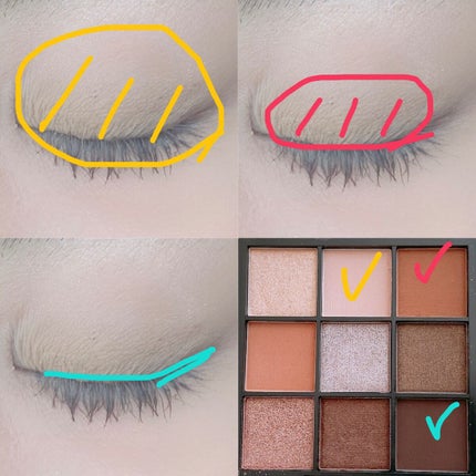 ブルーミングアイカラーパレット (TOKYO GIRLS COLLECTION)/U R GLAM/アイシャドウパレットを使ったクチコミ(2枚目)