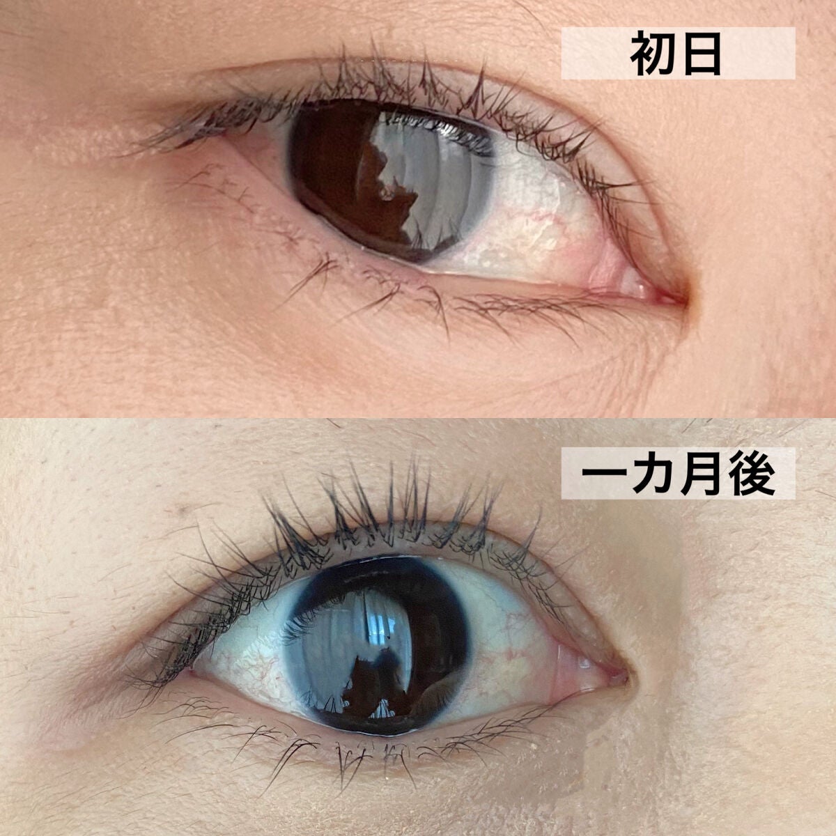 メルポス ドリームアイラッシュセラム/me repos/まつげ美容液を使ったクチコミ(5枚目)