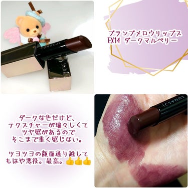 プランプメロウリップス EX14 Dark Mulberry/LUNASOL/口紅の画像