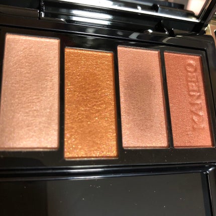 レイヤードカラーズアイシャドウ/KANEBO/アイシャドウパレットを使ったクチコミ(1枚目)