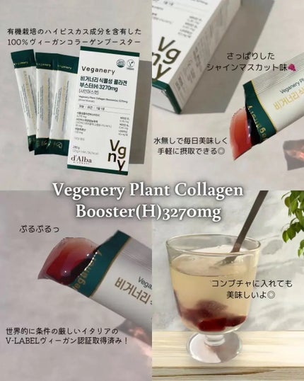 ヴィーガナリー植物性コラーゲン/ダルバ/美容サプリメントを使ったクチコミ(2枚目)