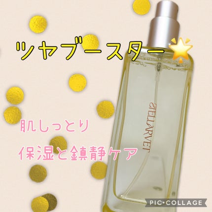 10GFフォーボリューマイジングセラム/STELLARVET/美容液を使ったクチコミ(1枚目)