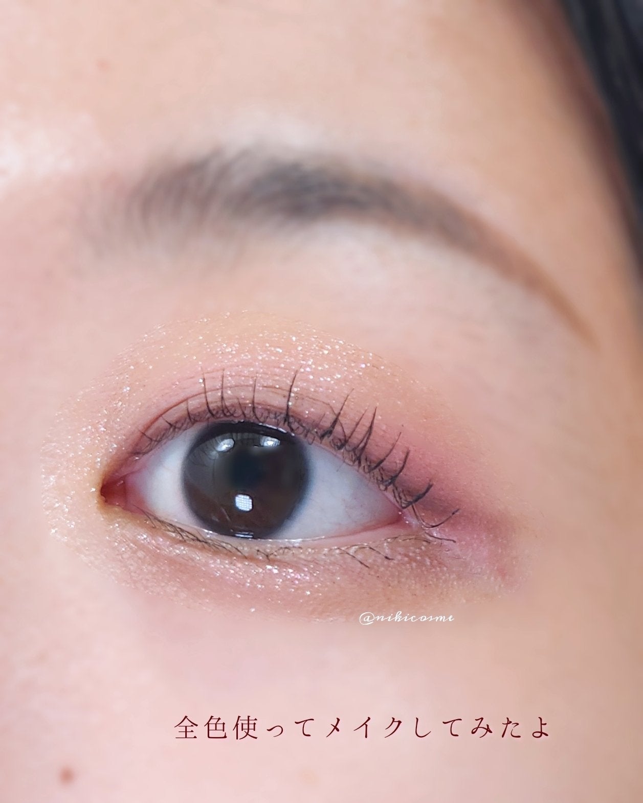 フラワーノーズスワンバレエシリーズ アイシャドウパレット/FlowerKnows/アイシャドウパレットを使ったクチコミ(7枚目)