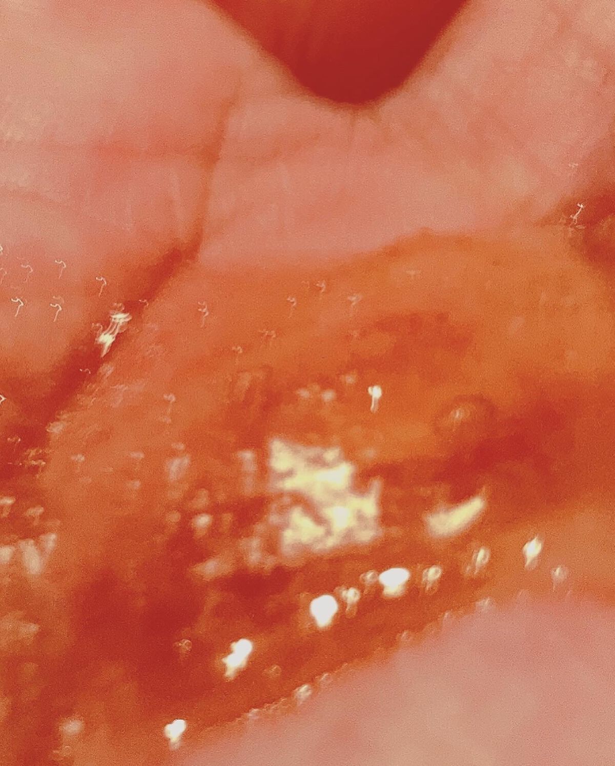 S&TスキャルプEスクラブ（シュガーケーン＆ティーツリー）/john masters organics/ヘッドスクラブを使ったクチコミ（3枚目）