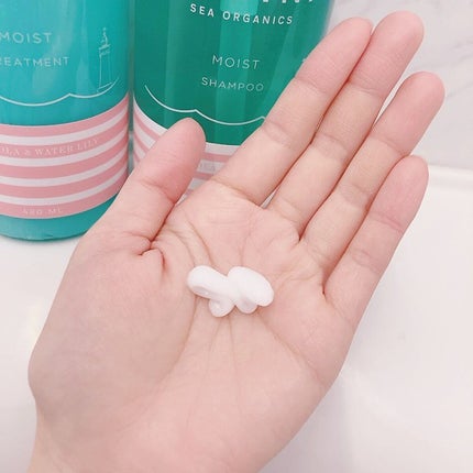 モイストシャンプー&モイストトリートメント/マリーナシーオーガニック/市販シャンプーを使ったクチコミ(4枚目)