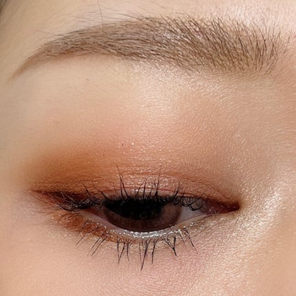 ケイト ザ アイカラー/KATE/単色アイシャドウを使ったクチコミ(3枚目)