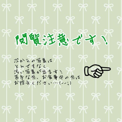 ロゼット洗顔パスタ 海泥スムース/ロゼット/洗顔フォームを使ったクチコミ(2枚目)