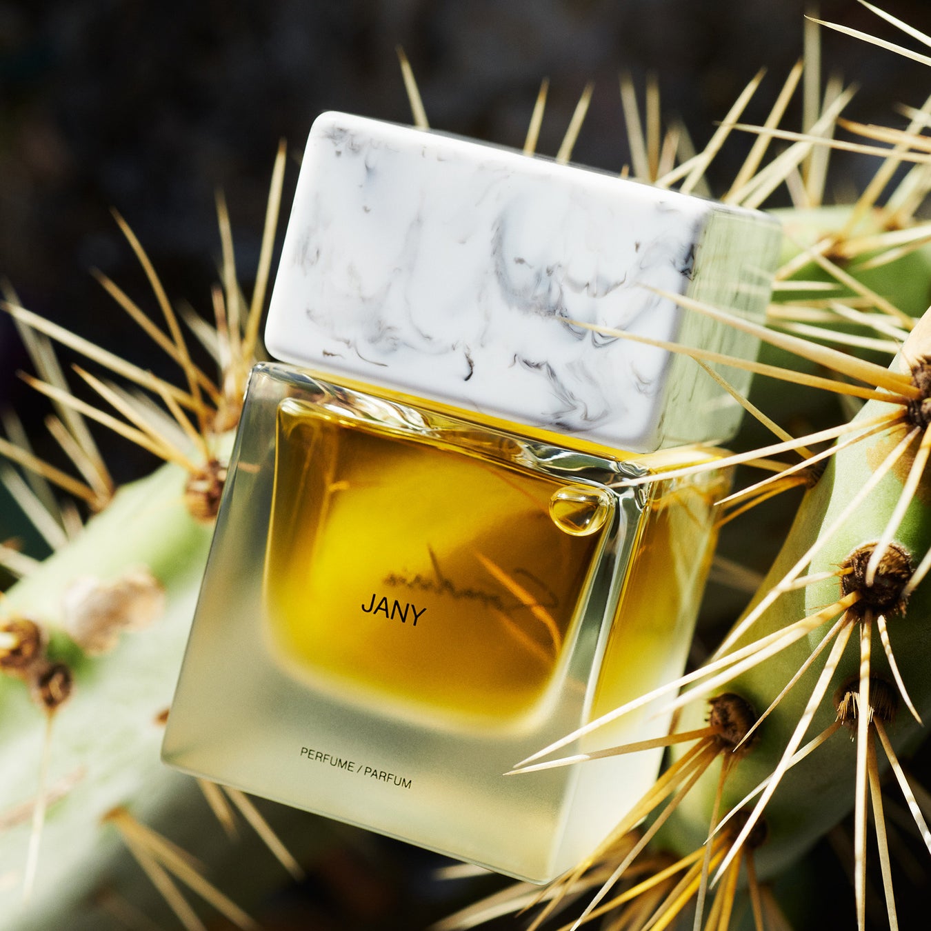 Sora Dora jany ソラドラジャニ