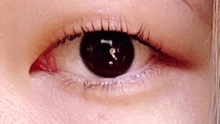 キングダム 束感カールマスカラ/キングダム/マスカラを使ったクチコミ(5枚目)