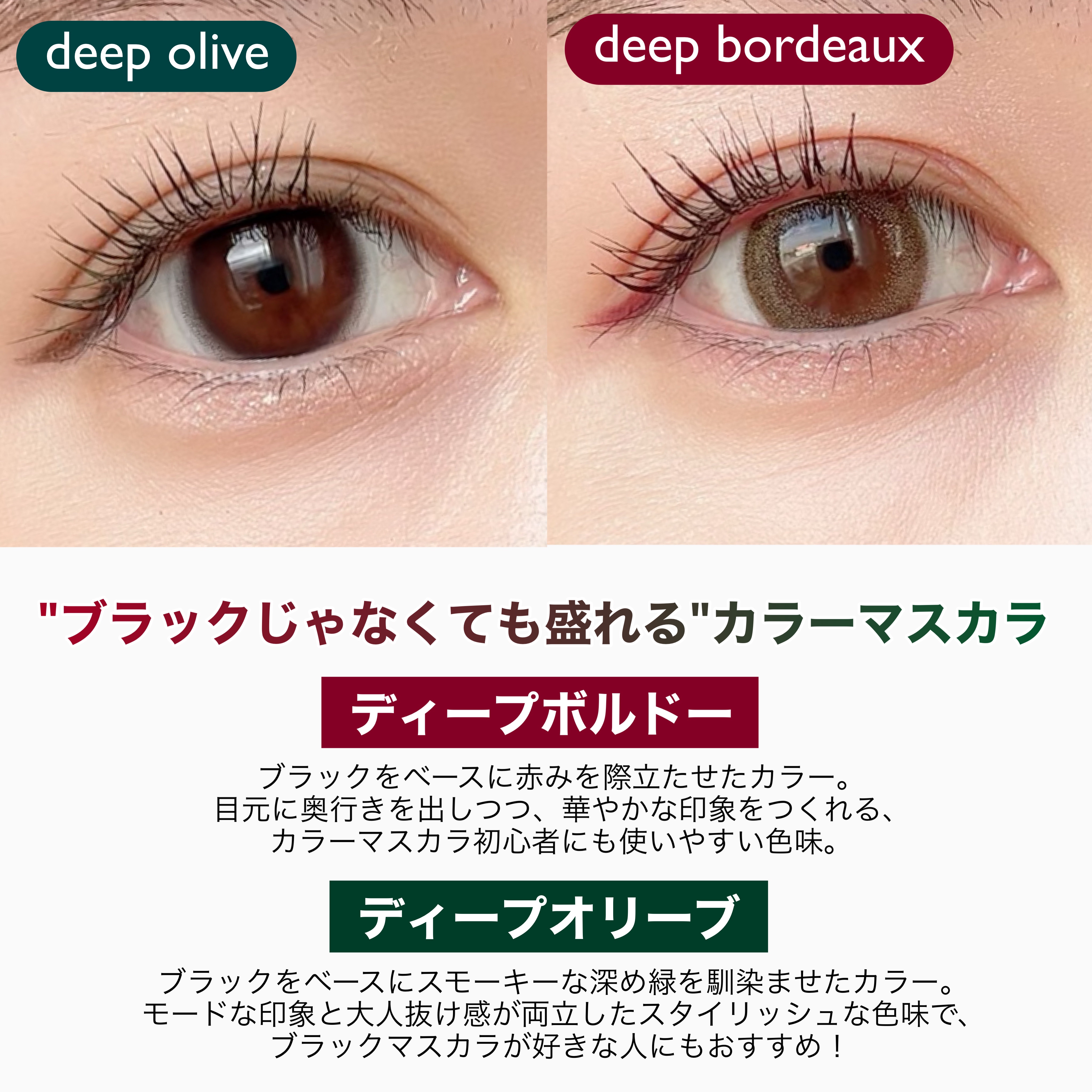 ビューティーアップマスカラ ディープボルドー/PHOEBE BEAUTY UP/マスカラを使ったクチコミ（3枚目）