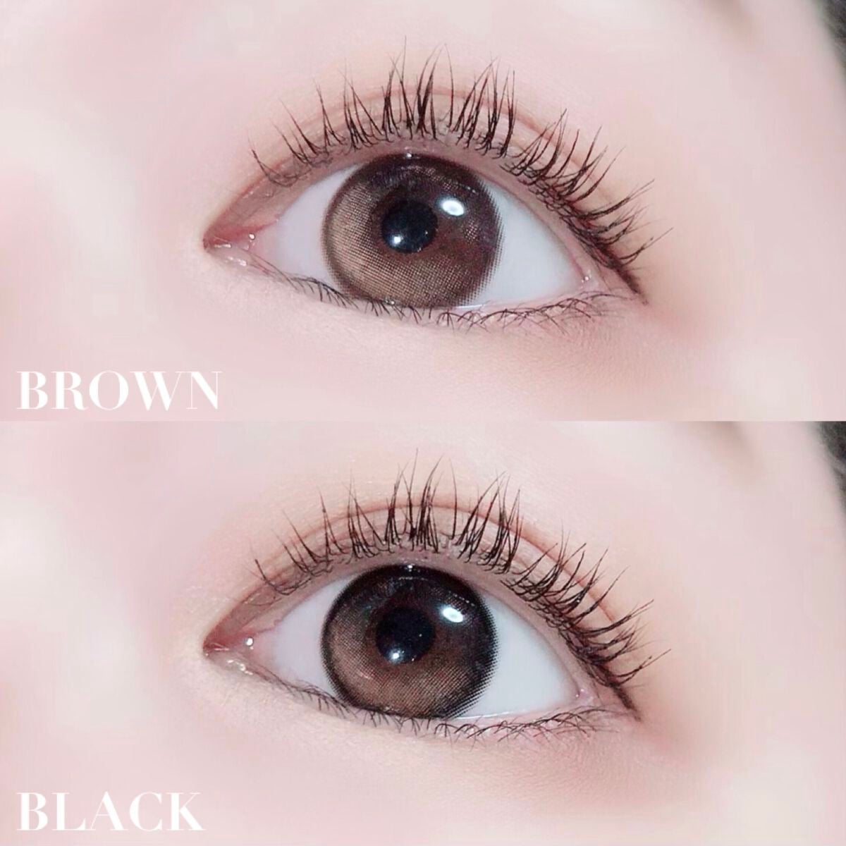 Glowy 1day/OLENS/ワンデー(1DAY)カラコンを使ったクチコミ(1枚目)