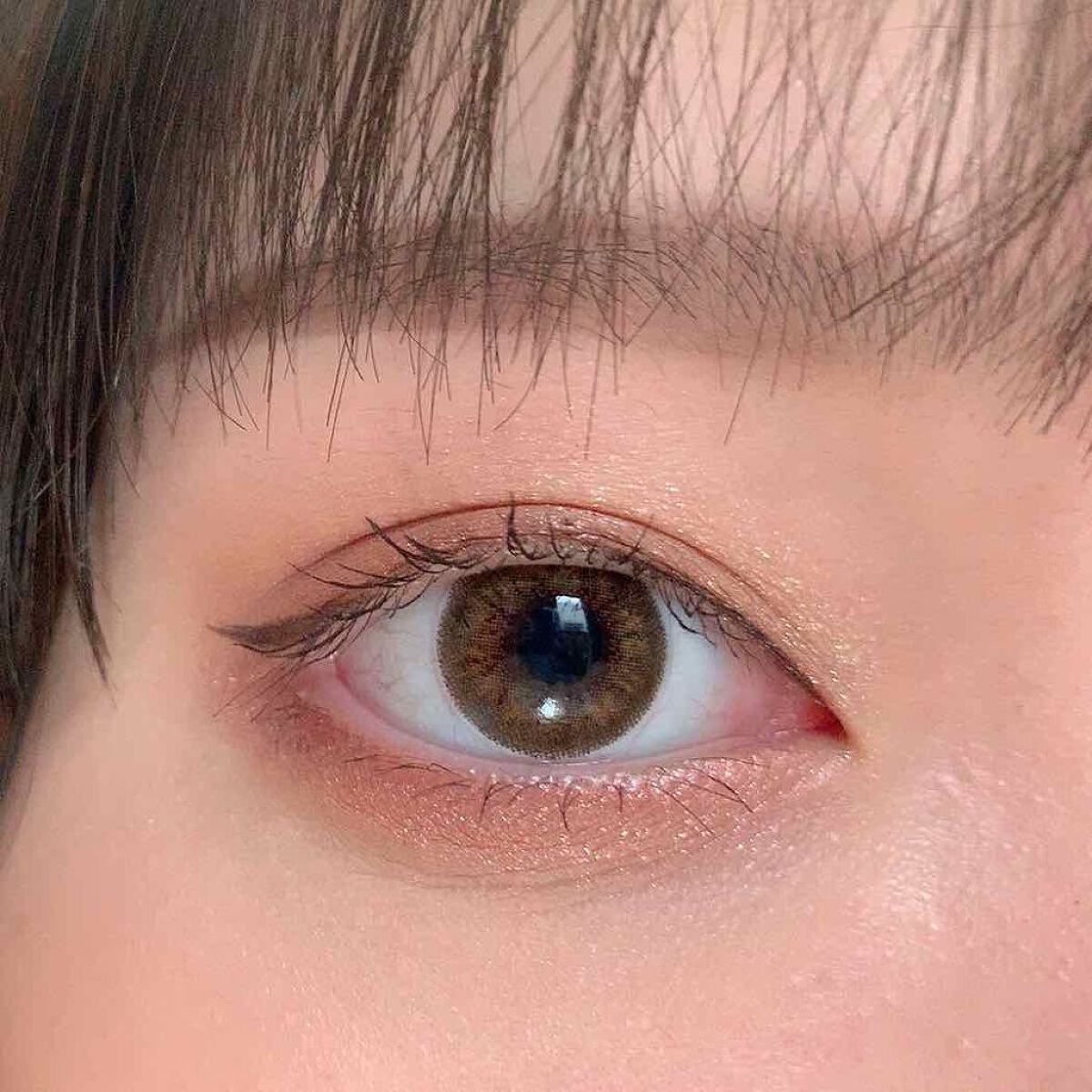 ReVIA 1day [COLOR] Preline Bran（プラリネブラン）