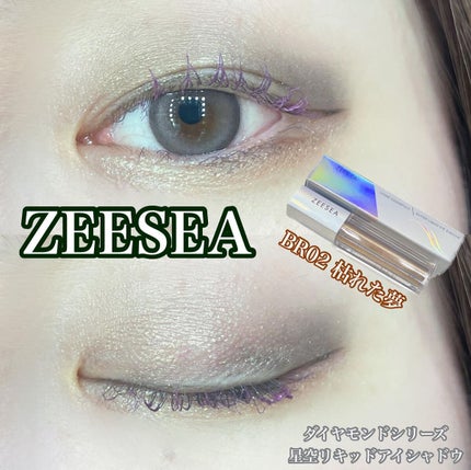 ダイヤモンドシリーズ 星空リキッドアイシャドウ BR 02 枯れた夢/ZEESEA/リキッドアイシャドウの画像