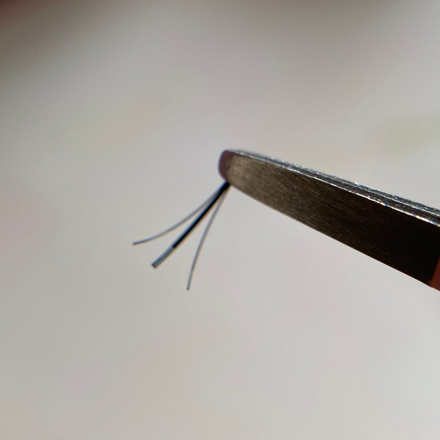 CCAMBBAK idol つけまつげ/eotd/つけまつげを使ったクチコミ(2枚目)