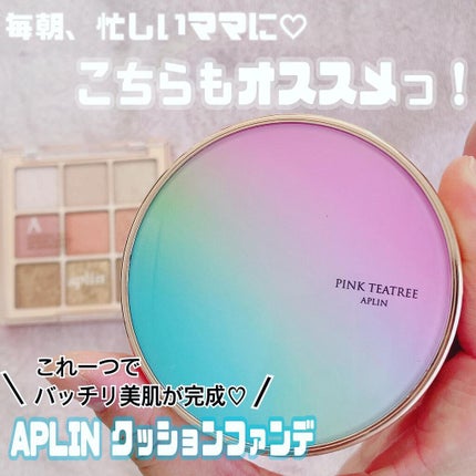 ワンピックアイシャドウパレット/APLIN/アイシャドウパレットを使ったクチコミ(7枚目)