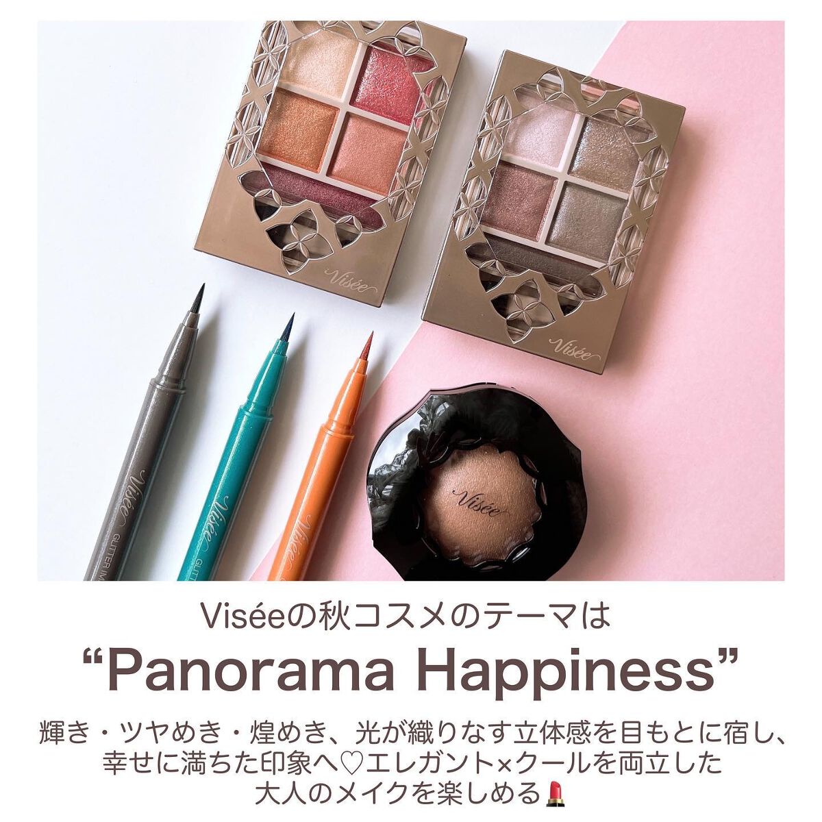 フォギーオンチークス N/Visée/パウダーチークを使ったクチコミ(2枚目)