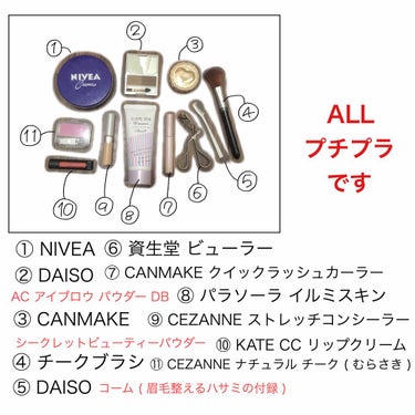 ナチュラル チークN/CEZANNE/パウダーチークを使ったクチコミ（2枚目）