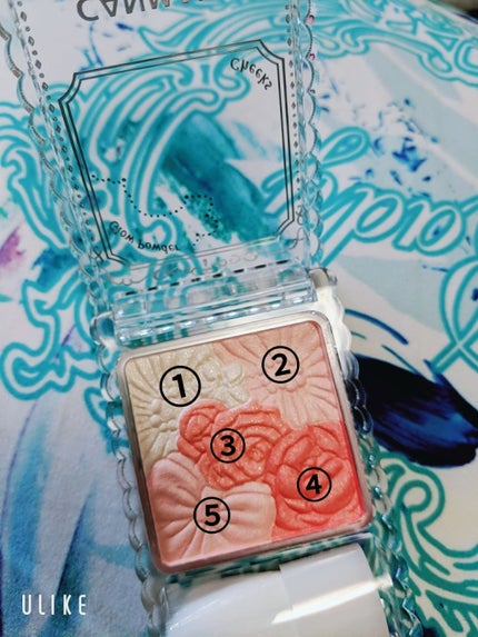 グロウフルールチークス/キャンメイク/パウダーチークを使ったクチコミ(2枚目)