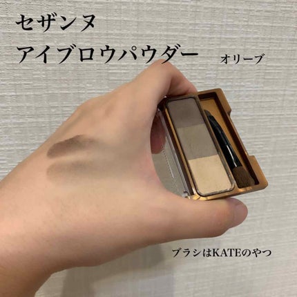 ノーズ&アイブロウパウダー/CEZANNE/パウダーアイブロウを使ったクチコミ(1枚目)