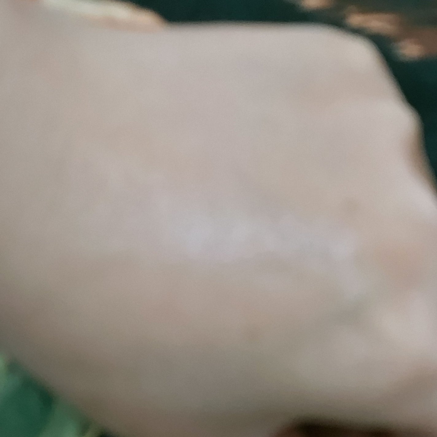 ソフィーナ iP ベースケア セラム<土台美容液>/SOFINA iP/美容液を使ったクチコミ(7枚目)