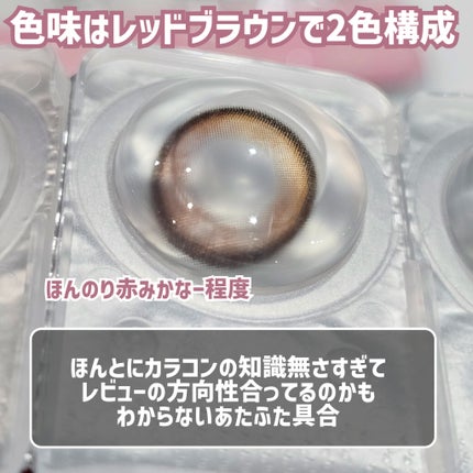 Secretive Kristen 1day/Hapa kristin/ワンデー(1DAY)カラコンを使ったクチコミ(8枚目)