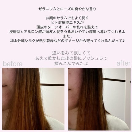 ヘアセラム/AVISTA/ヘアオイルを使ったクチコミ(3枚目)