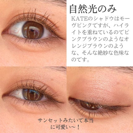 ケイト ザ アイカラー/KATE/単色アイシャドウを使ったクチコミ(5枚目)