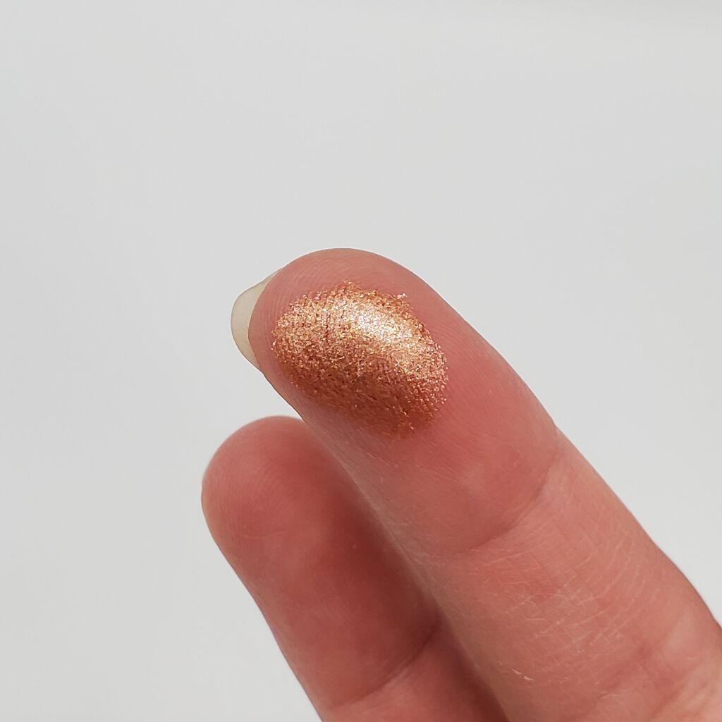 セルフィーフィックスピグメント/Witch's Pouch/単色アイシャドウを使ったクチコミ(3枚目)