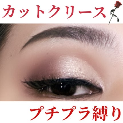 カバーパーフェクション チップコンシーラー/the SAEM/リキッドコンシーラーを使ったクチコミ(1枚目)