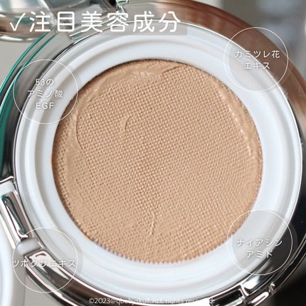 グリーミングテンションパクト/2aN/クリーム・エマルジョンファンデーションを使ったクチコミ(5枚目)