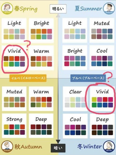   パーソナルカラー診断/Visée/その他を使ったクチコミ（5枚目）
