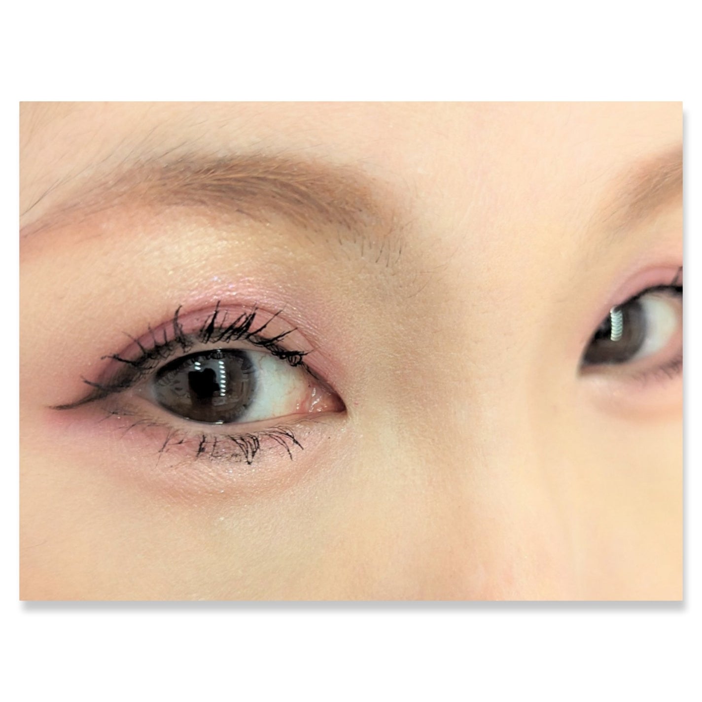 シーズナルブレンディングアイシャドウパレット/Peach C/アイシャドウパレットを使ったクチコミ(2枚目)