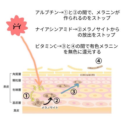 Cサスペンション23+HAスフィア2フェイスクリーム/The Ordinary/美容液を使ったクチコミ(4枚目)