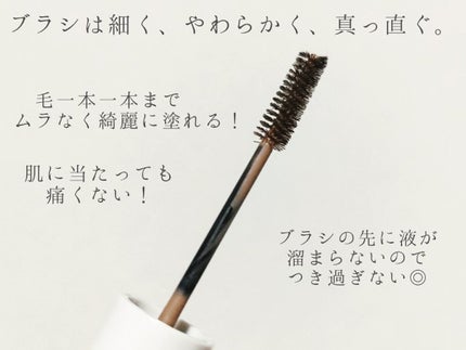 スキニーカラーブロウ/シアーズ/眉マスカラを使ったクチコミ(6枚目)