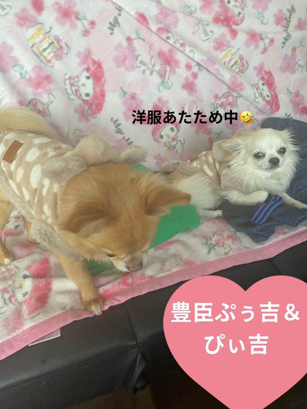 ネイルケアドロップス/noiro/ネイルオイル・トリートメントを使ったクチコミ(10枚目)