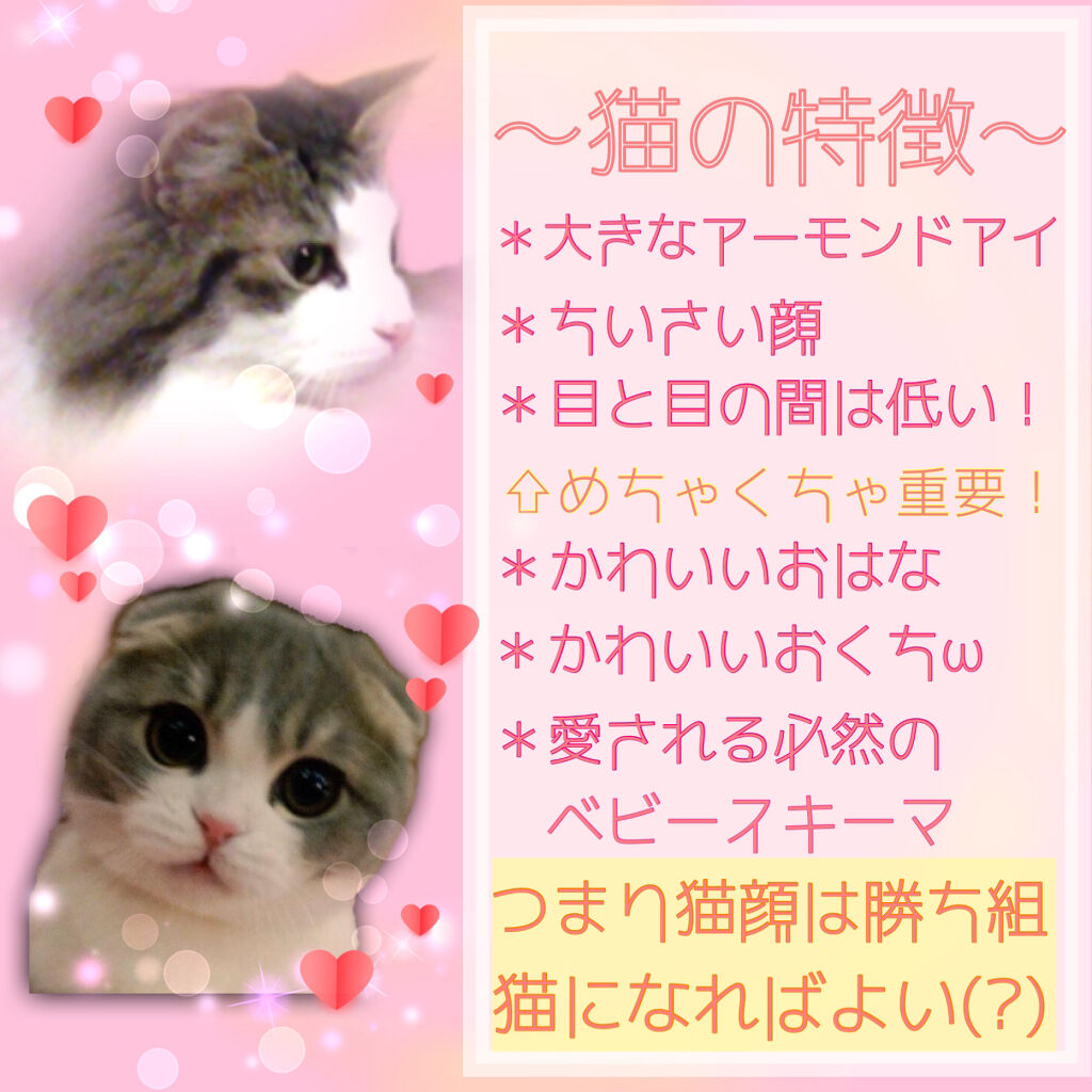 ケイト デザイニングアイブロウ3D/KATE/パウダーアイブロウを使ったクチコミ（2枚目）