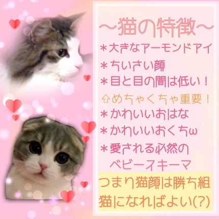 クリーミータッチライナー/キャンメイク/ジェルアイライナーを使ったクチコミ(2枚目)