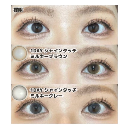 Spanish 1Day(ã¹ãããã·ã¥ 1Day)/OLENS/ã¯ã³ããŒïŒïŒDAYïŒã«ã©ã³ã³ã䜿ã£ãã¯ãã³ãïŒ1æç®ïŒ