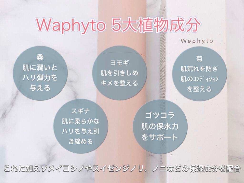 Regena Toner レジェナ トナー/Waphyto/化粧水を使ったクチコミ(2枚目)