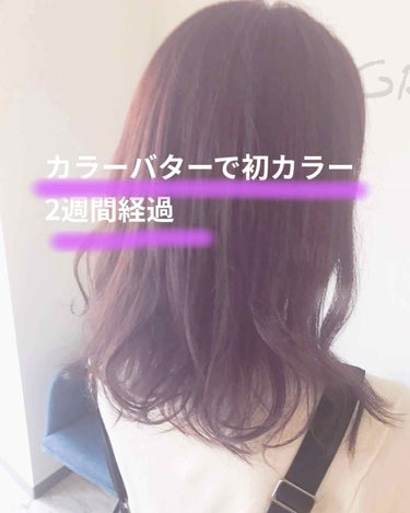 エンシェールズカラーバター/エンシェールズ/ヘアカラーを使ったクチコミ（1枚目）